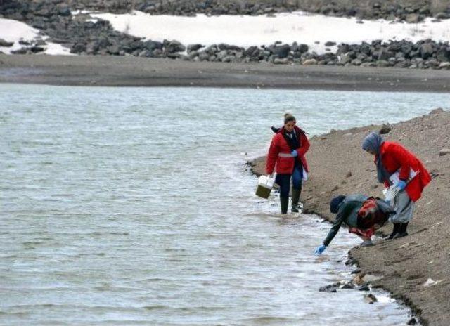 Tekederesi Göletinde Toplu Balık Ölümü