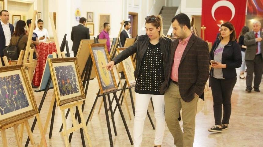 T&uuml;lin Kayhan&rsquo;ın, "mistik Yolculuğu"