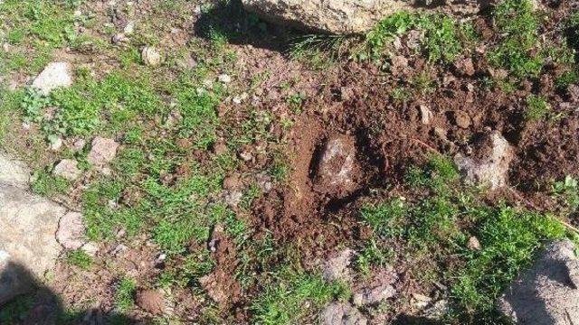 Çukurca'da Yola Patlayıcı Döşeyen 2 Pkk'lı Öldürüldü (2)