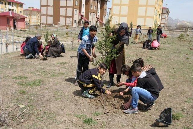 Van’da Fidan Dikimi