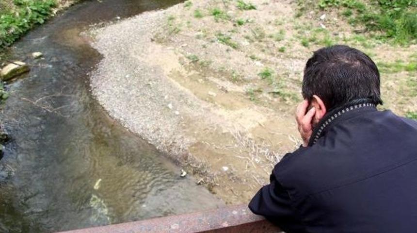 Zonguldak'ta Derede Balık &Ouml;l&uuml;mleri Tedirgin Etti