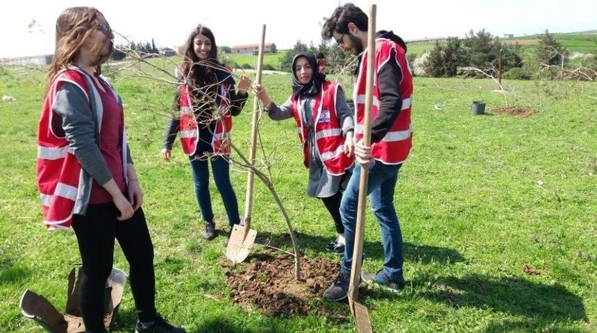 Gen&ccedil; Kızılaycılardan 350 Fidan