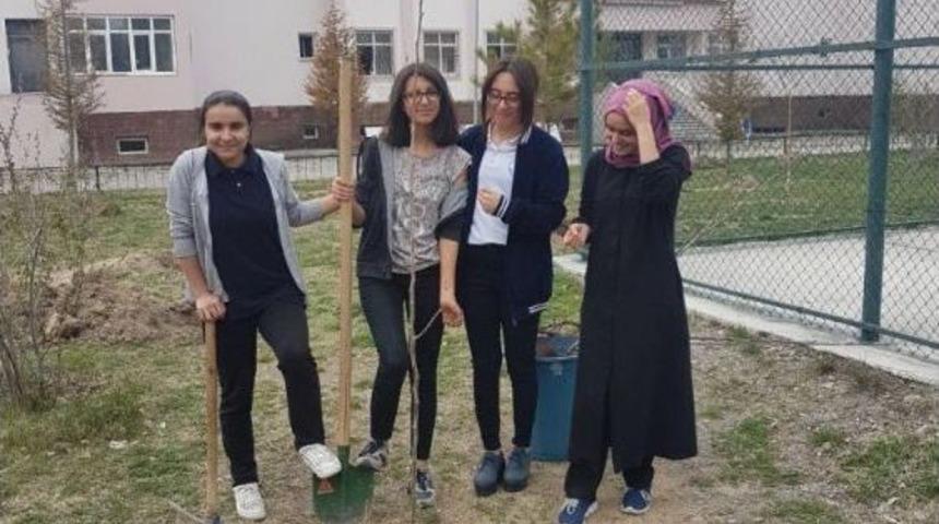 İpekyolu Belediyesinden Fidan Dikimi