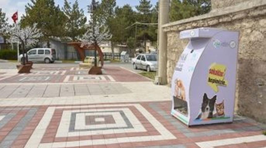 Sokak Hayvanları İ&ccedil;in Su Ve Mama Makineleri
