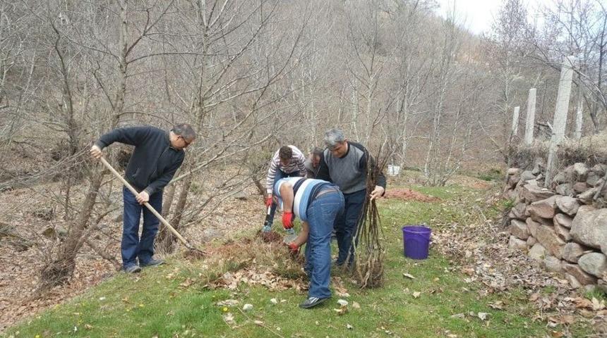Emet Kaymakamlığından 300 Şehide 300 Fidan