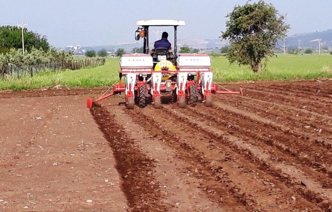 Osmaniye&rsquo;de Yer Fıstığı Ekimi Başladı