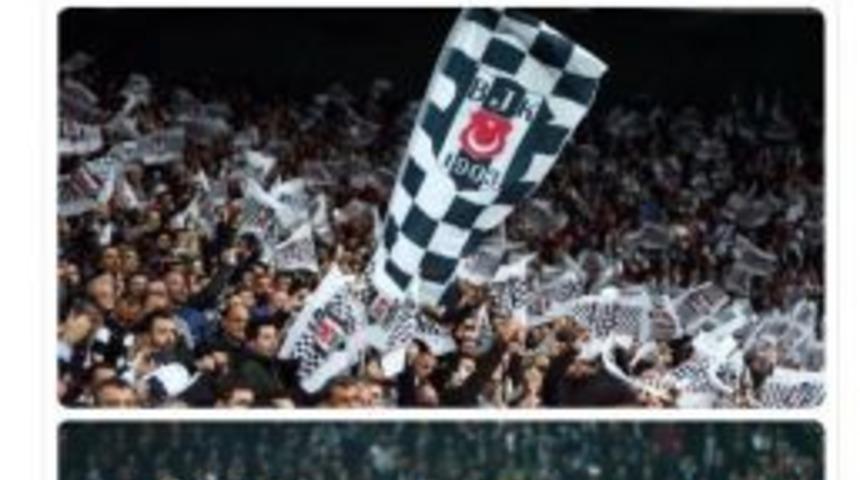 Beck: "elendiğimize İnanamıyoruz"