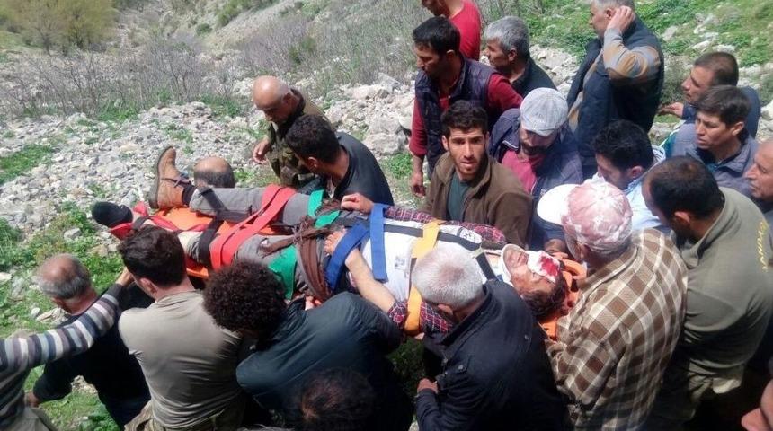 Pancar Toplarken U&ccedil;uruma Yuvarlandı