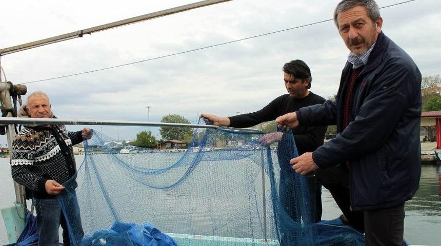 T&uuml;rk Denizlerinde Yunus Tehdidi Artıyor