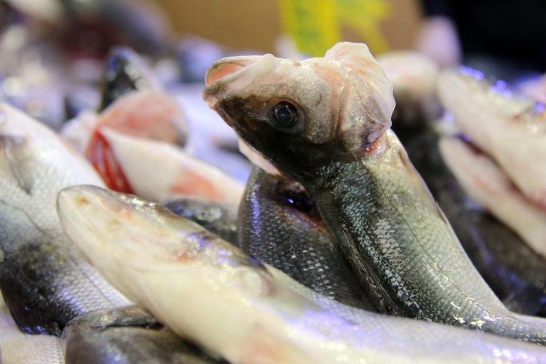 Tezgahları K&uuml;lt&uuml;r Balıkları S&uuml;sl&uuml;yor