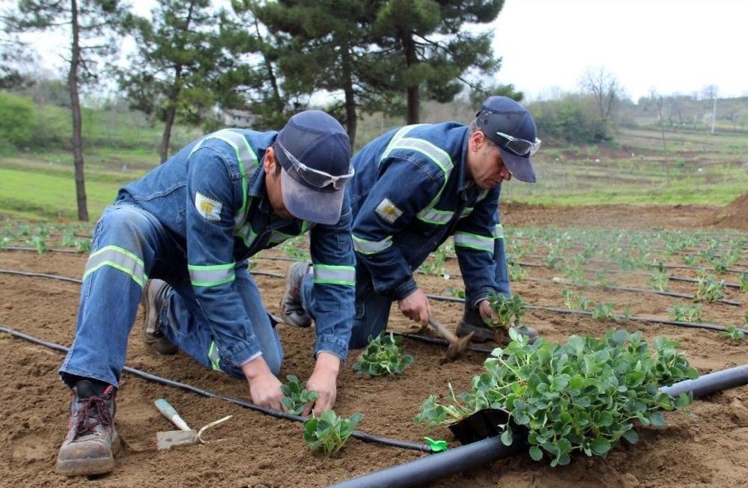 &Ccedil;elik &Uuml;reten Eller &Ccedil;ilek &Uuml;retmeye Başladı