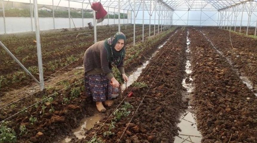 Samsun&rsquo;da Gen&ccedil; &Ccedil;ift&ccedil;i Desteği Alanlardan Y&uuml;zde 76&rsquo;sı Kadın