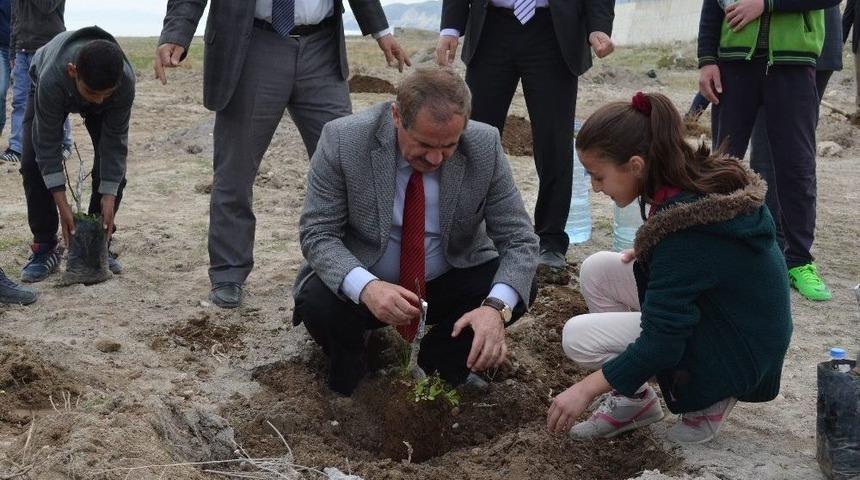 Adilcevaz&rsquo;da 150 Aşılı Ceviz Fidanı Toprakla Buluştu