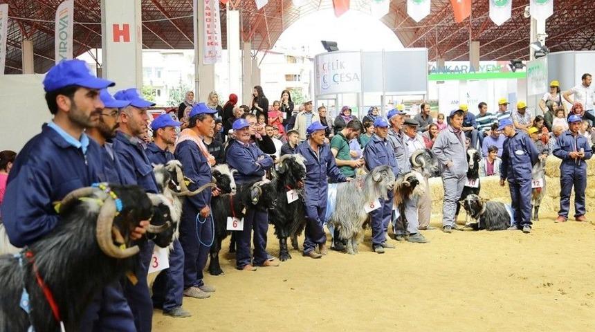 3. Teke Y&ouml;resi Tarım Ve Hayvancılık Fuarı