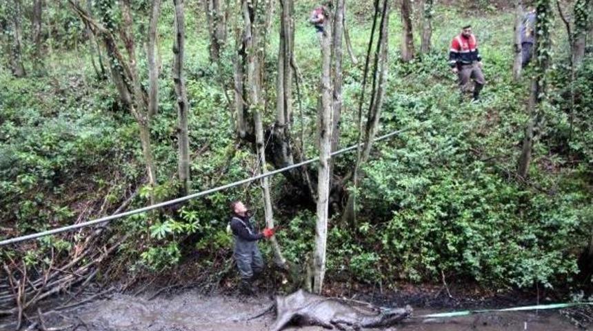 Derede &Ccedil;amura Saplanan Mandayı Itfaiye Kurtardı