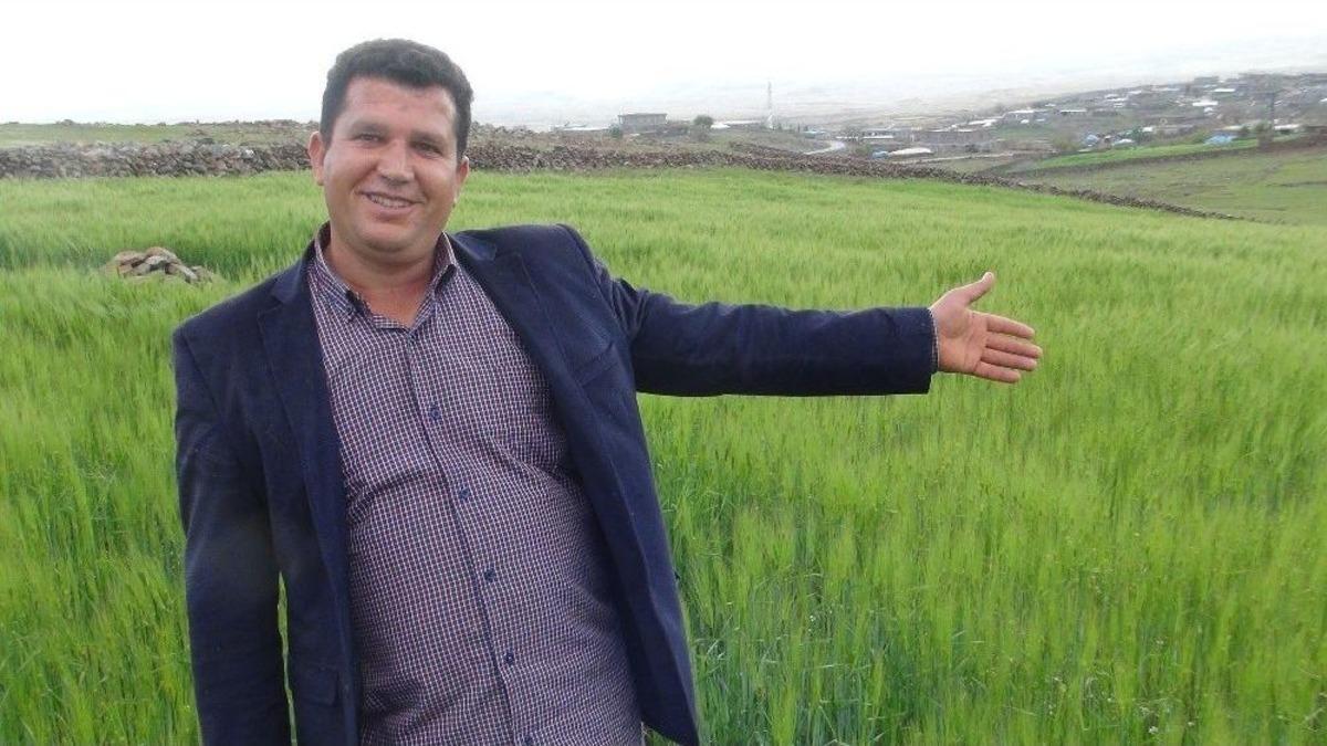 Son Yağışlar Şanlıurfalı &Ccedil;ift&ccedil;iyi Sevindirdi