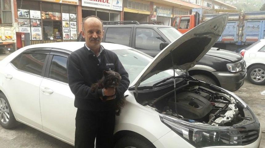 Tamirci &Ccedil;ırağı &rsquo;&ccedil;akıl"