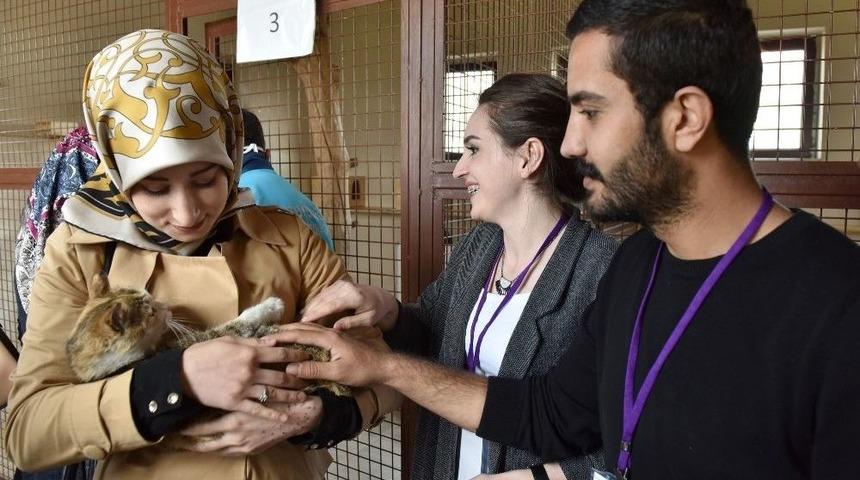Gen&ccedil; İletişimcilerden Hayvan Barınağı&rsquo;na Ziyaret