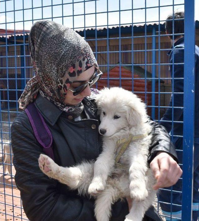 Genç İletişimcilerden Hayvan Barınağı’na Ziyaret