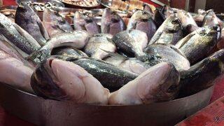 ’dolar’ Balıkçıları Da Vurdu