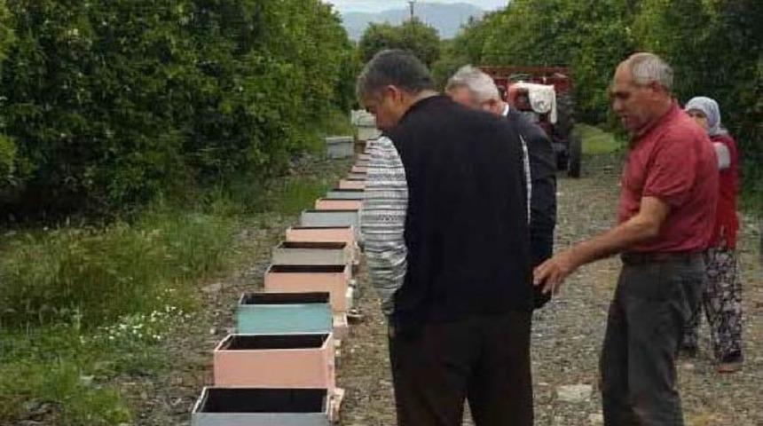 Ortaca'da 50 Kovan Arı Telef Oldu