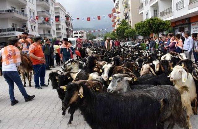 Demre'de, Yörük Göçü Canlandırıldı