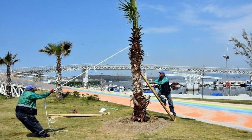 Aliağa Belediyesinden Kente Yeşil Takviyesi