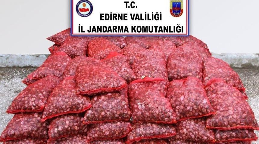 Edirne&rsquo;de 2 Ton Canlı Midye Ele Ge&ccedil;irildi