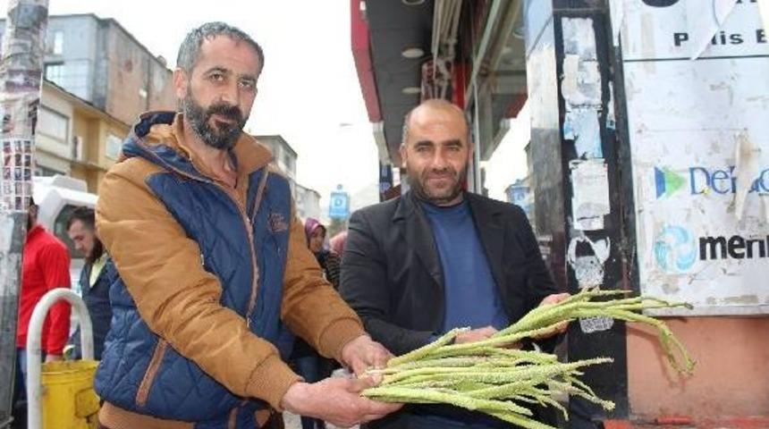 Baharın M&uuml;jdecisi Cep Yakıyor