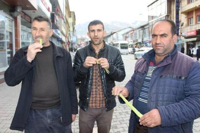 Baharın Müjdecisi Cep Yakıyor