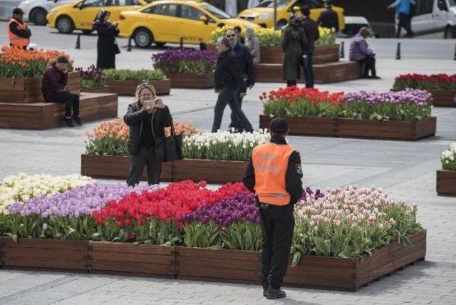 Taksim Meydanı'na Getirilen Lalelere Yoğun Güvenlik Önlemi