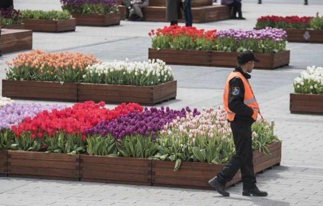 Taksim Meydanı'na Getirilen Lalelere Yoğun Güvenlik Önlemi