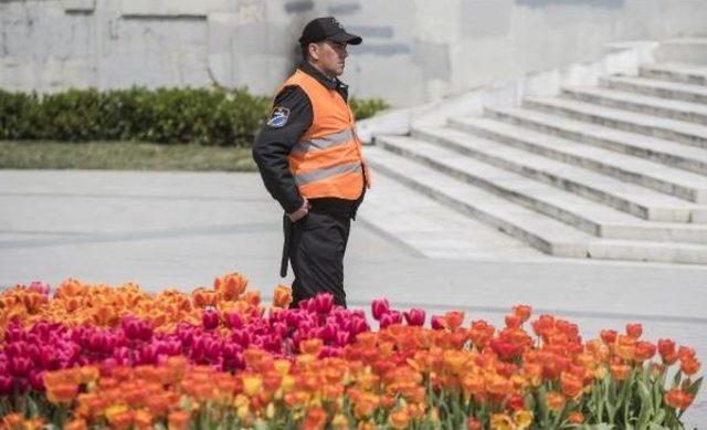 Taksim Meydanı'na Getirilen Lalelere Yoğun Güvenlik Önlemi