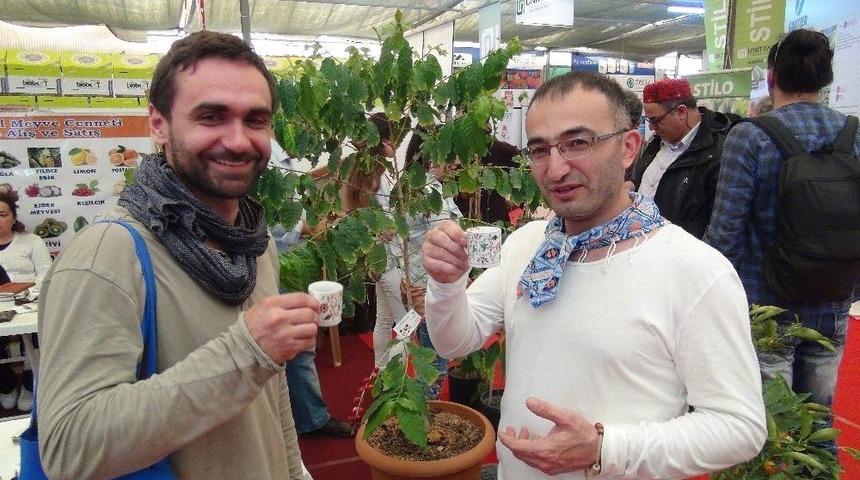 Gazipaşa Kahvesi G&ouml;r&uuml;c&uuml;ye &Ccedil;ıktı