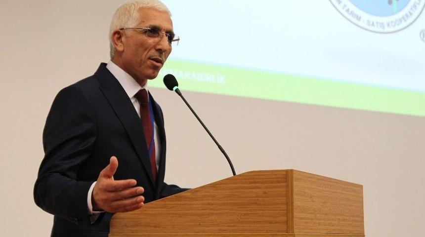 Marmarabirlik&rsquo;te Kar Payı Sevinci