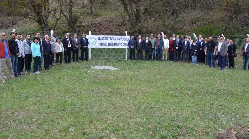 15 Temmuz Şehitleri İ&ccedil;in Ceviz Ormanı Oluşturuluyor