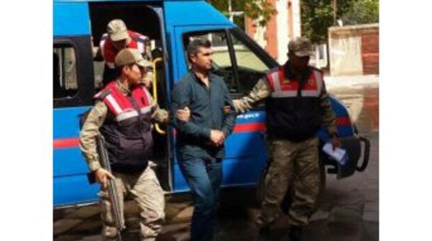 Jandarma Ekiplerinden Hayvan Hırsızlarına Operasyon