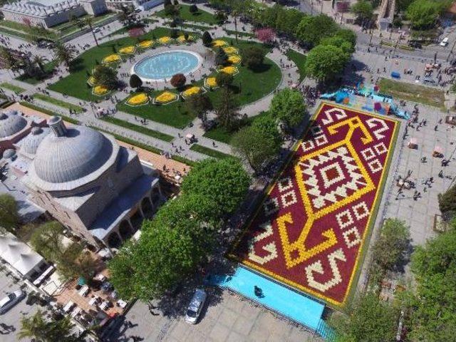 Sultanahmet'e 1453 Metrekarelik Lale Halı