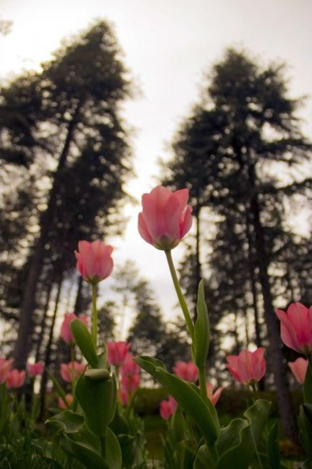 (&ouml;zel Haber) Bu Yapılanlar &lsquo;d&uuml;nya&rsquo; İ&ccedil;in