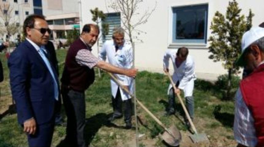 Iğdır Devlet Hastanesi Bah&ccedil;esi Yeşilleniyor