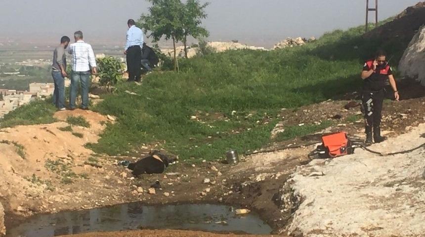 K&ouml;pek Sahiplenme Tartışmasında Kan Aktı: 2 &Ouml;l&uuml;, 5 Yaralı