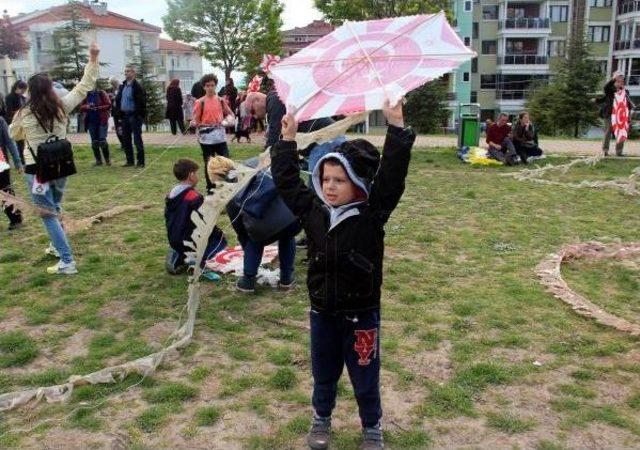 Edirne’De Uçurtma Şenliği