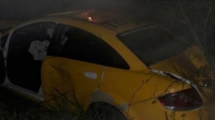 Ticari Taksi Ormanlık Alana U&ccedil;tu : 1 Yaralı