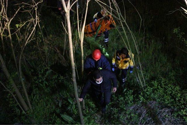 Ticari Taksi Ormanlık Alana Uçtu : 1 Yaralı
