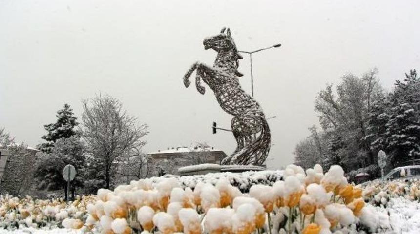 Bolu Dağı'nda Kar Yağışı Ulaşımı Yavaşlattı