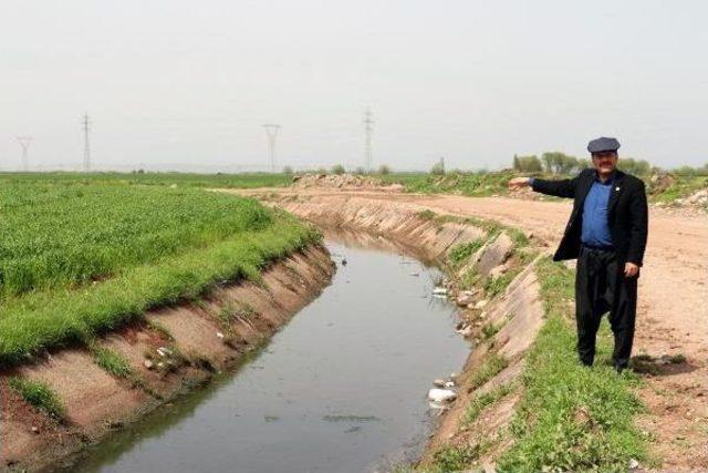 'dedaş, 4 Bin Çiftçinin 70 Milyon Lirasına Bloke Koydu' Iddiası