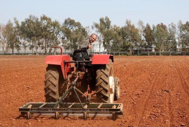 Taylandlı Bilim Adamları 'mevlana Çizeri' Için Antalya'da