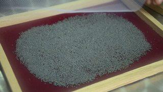 İpek Böcekleri Canlanmaya Başladı