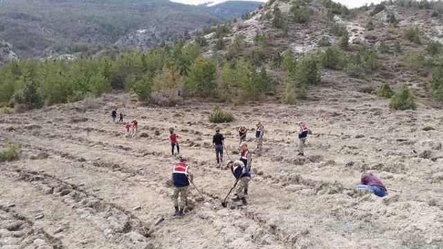 15 Temmuz Şehitleri Anısına Hatıra Ormanı Oluşturdular