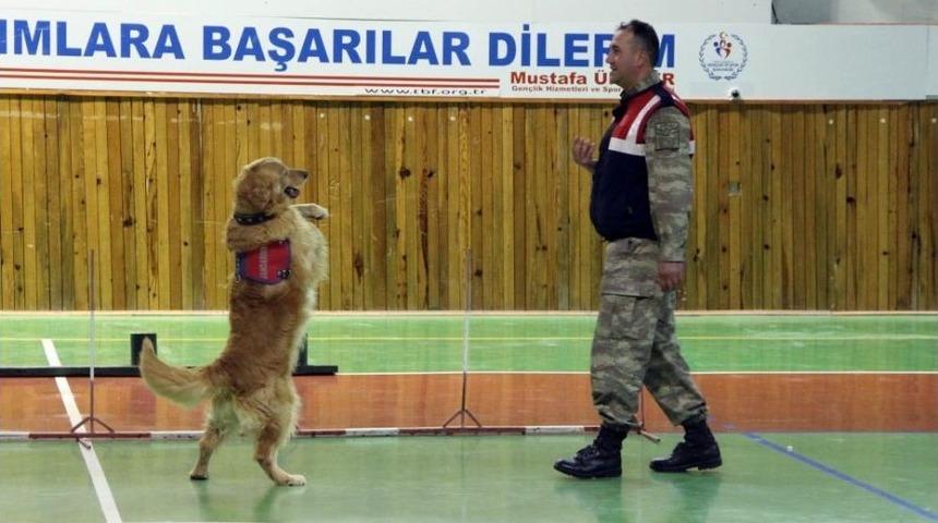 23 Nisan&rsquo;da Jandarmadan K&ouml;peklerle G&ouml;steri